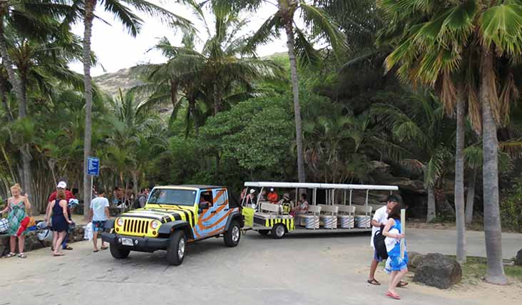 Tram Hanauma Bay Jeep Wrangler